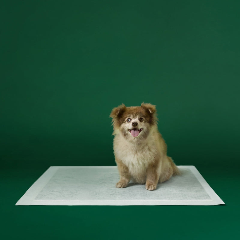 Disposable Dog Pee Pads with AbsorbShield+ Technology O6